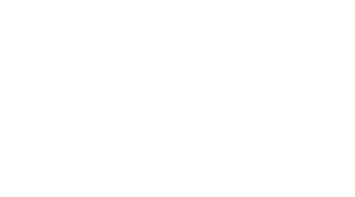 ELAN